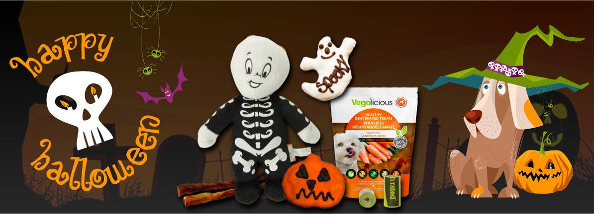 A small dog, a medium dog, and a large dog