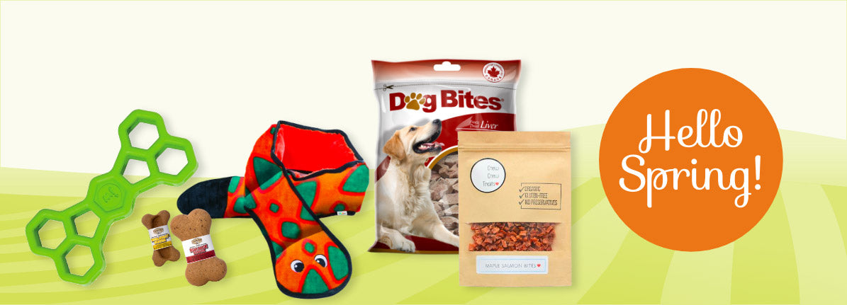 A small dog, a medium dog, and a large dog