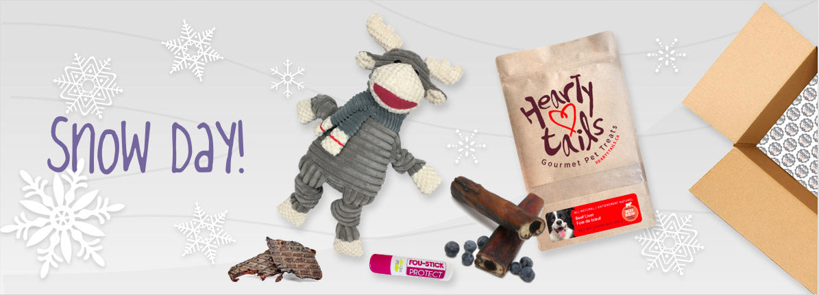 A small dog, a medium dog, and a large dog