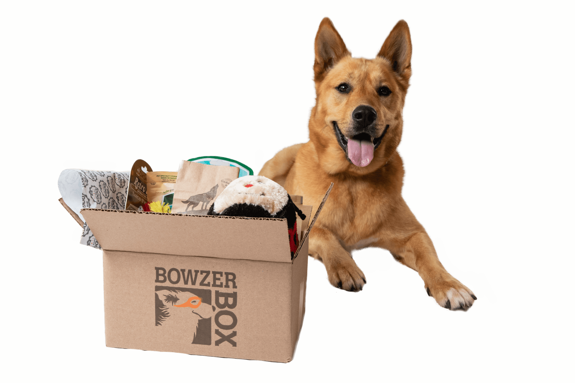 Dog happy with delivery of their Bowzer Box